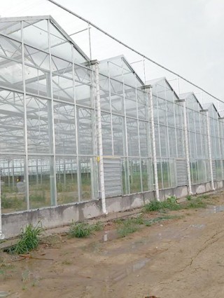 甘肅省玉門花海鎮2240 平生態溫室